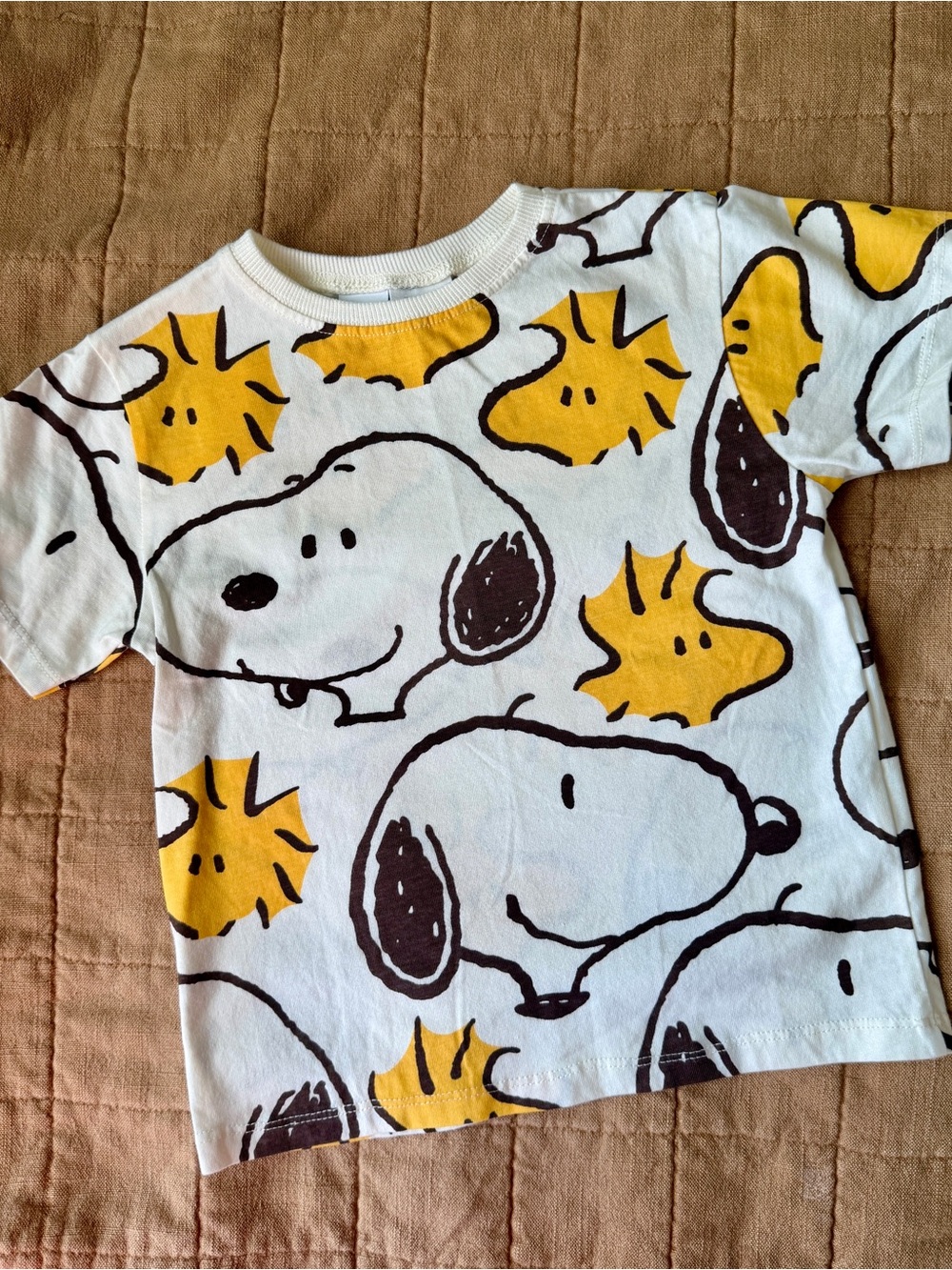 Zara x Snoopy Collab Graphic Tee